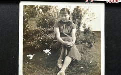 猛虎app下载汅api免费下载